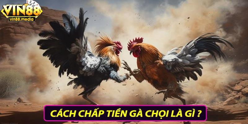 Cách chấp tiền gà chọi là gì?